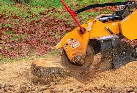 Best Tree Removal  in Nellysford, VA